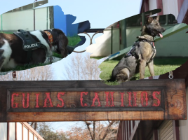 Unidad Canina Policía Nacional