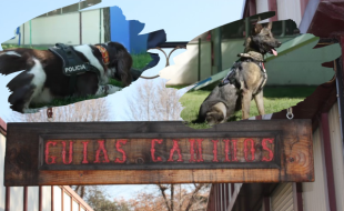 Unidad Canina Policía Nacional