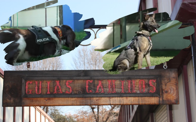 Unidad Canina Policía Nacional