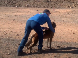 Grupo del Perro de Salvamento de Canarias